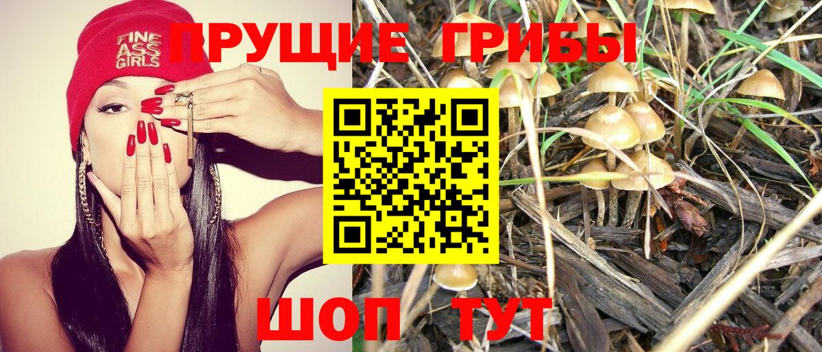 Псилоцибиновые грибы мухоморы  Вход с VPN  Майский  Псилоцибиновые грибы Magic Shrooms 